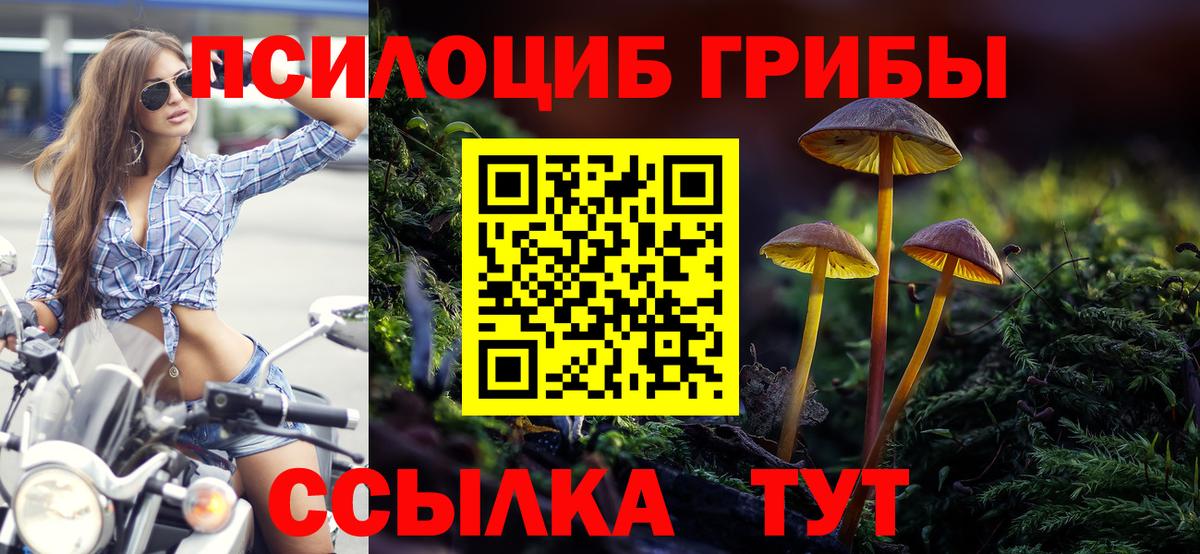 Энгельс  Псилоцибиновые грибы GOLDEN TEACHER  наркотики  Вход с VPN 